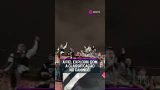 A FIEL FICOU MALUCA COM A CLASSIFICAÇÃO DO CORINTHIANS CONTRA A LUSA #shorts