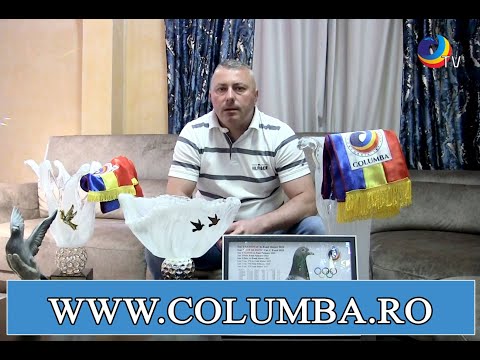 Cristinel Chelaru – Un Maestru Columbofil specializat în etapele de-o zi