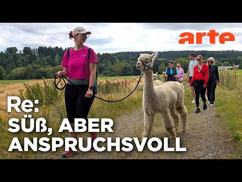 Video Thumbnail: Der Hype ums Alpaka | ARTE Re: