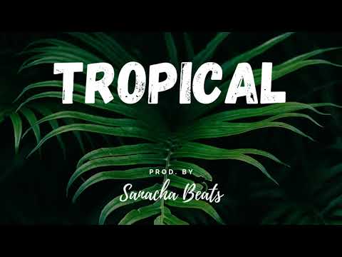 'Tropical" | Kygo x Martin Garrix x Dance | Chainsmoker Type Beat 2021 | (Prod. by Sanacha Beats)