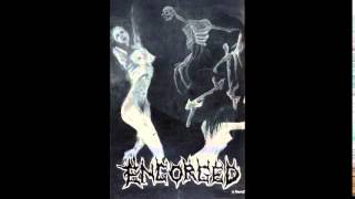 Engorged - Beyond the Light