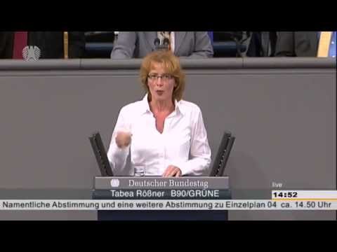 Bundestagsrede von MdB Rößner (Grüne) zur Pressekrise in der Debatte zum Haushaltsplan