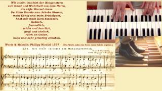 Wie schön leuchtet der Morgenstern (Berliner Choral-Buch 1830)