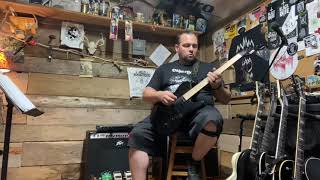Video thumbnail for LTD TE 200 by Mountain Man Music