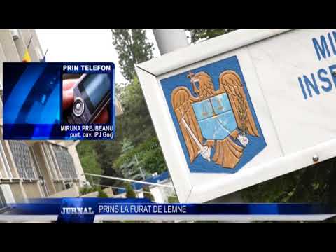 PRINS LA FURAT DE LEMNE