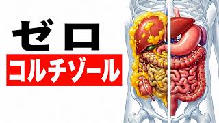 コルチゾールをゼロにして内臓脂肪を燃焼させる方法