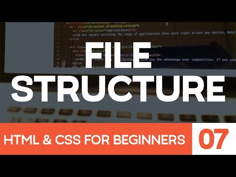 Learn HTML CSS for Beginners Part 7 File Structure - Mind Luster