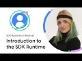 Introduction To The SDK Runtime