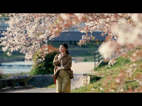 【京都 上賀茂神社】さくら