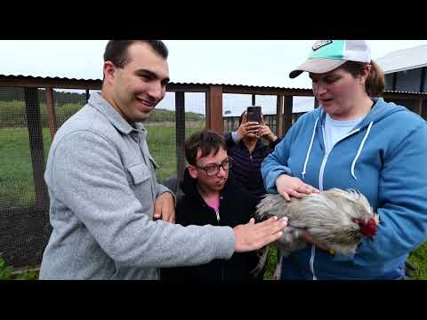 Big Wave Project by Nueva Social Impact Filmmaking Club (SIFC)