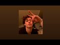 Shawn Mendes Stitches Sped Up