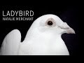 Natalie Merchant - Ladybird 