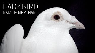 Natalie Merchant - Ladybird