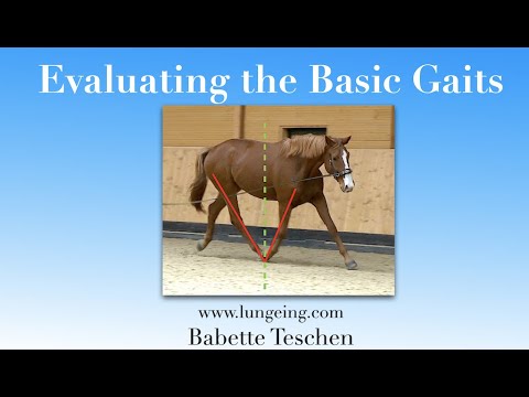 Evaluating the Basic Gaits