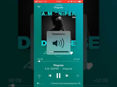 A. M. SNiPER - Disguise