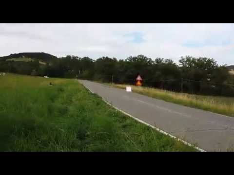 15° Rally Circuito di Cremona. Ps 8: Pellegrino