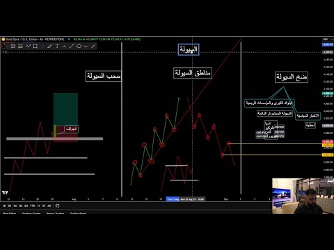 شو يعني سحب السيولة ؟ كل ما تحتاج معرفته عن السيولة في هذا الفيديو