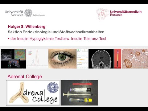 Adrenal College, der Insulin-Hypoglykämie-Test