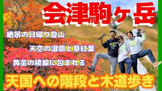 [Day hike] A paradise of autumn leaves! Mount Aizu-Komagatake, enveloped in golden ridgelines