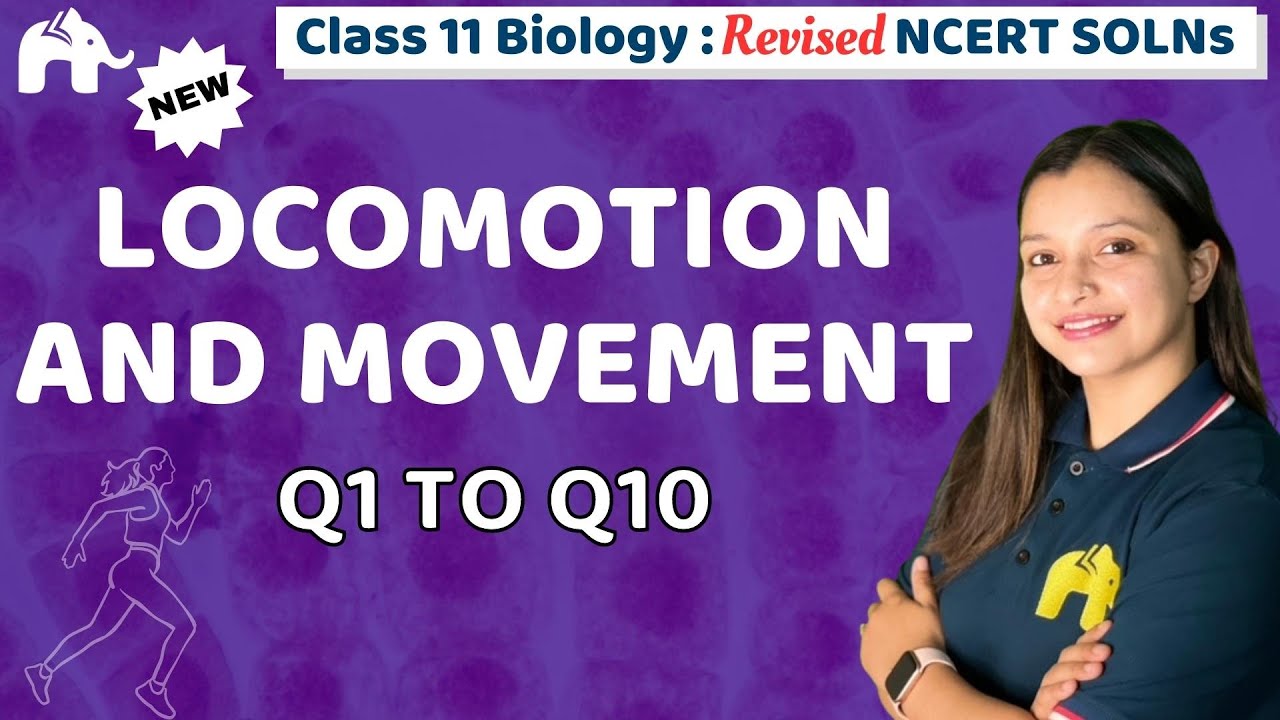 Locomotion and Movement Class 11 Biology | Revised NCERT Solutions | Chapter 17 Questions 1-10
