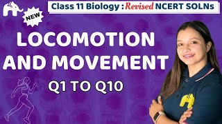 Locomotion and Movement Class 11 Biology | Revised NCERT Solutions | Chapter 17 Questions 1-10