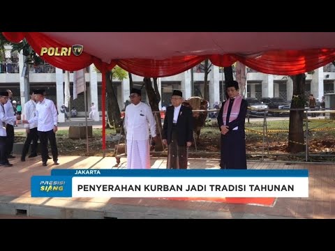 MA''RUF AMIN SERAHKAN SAPI KURBAN PRESIDEN WAKIL PRESIDEN KE ISTIQLAL