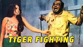 Wu Tang Collection - Tiger Fighting