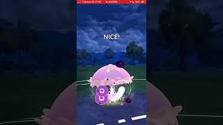 Battle Frontier - Round 2 - 17Se7enteen vs Zarddy (Majestic)