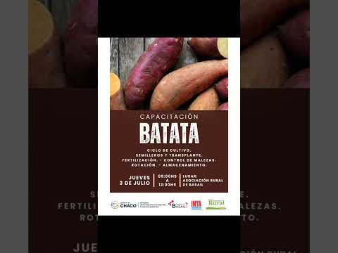 👉 La Agencia de Extensión Rural INTA Basail los invita 📢 CAPACITACION SOBRE CULTIVO DE BATATA 🌱