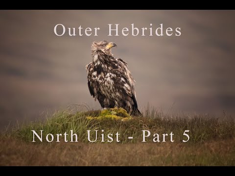 Wildlife Photography | VLOG – Part 5 | North Uist, Outer Hebrides, Scotland, UK | 2024
