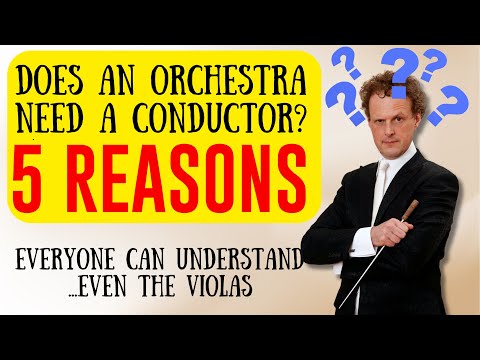Does an orchestra need a conductor 5 REASONS everyone can understand...even the violas 🤣