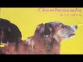 CHUMBAWAMBA - DUMBING DOWN THIS IS COPYRIGHTED MATERIAL I'M A FAN OF THIS MUSIC