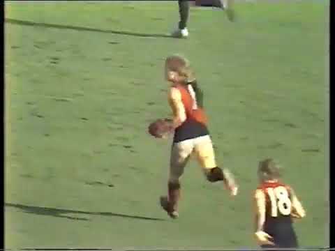 Round 6 1988 Essendon v Melbourne highlights