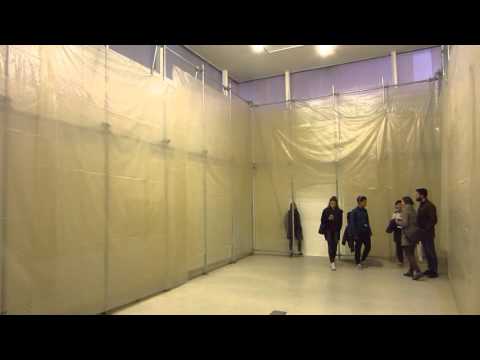 56 bienal de Veneza _ 2015 _pavilhao brasileiro