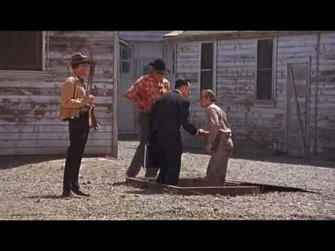 Prendi i soldi e scappa Woody Allen Assicuratore