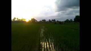 preview picture of video 'Sunset at Padi Field East to the Adi Sutjipto Airport'