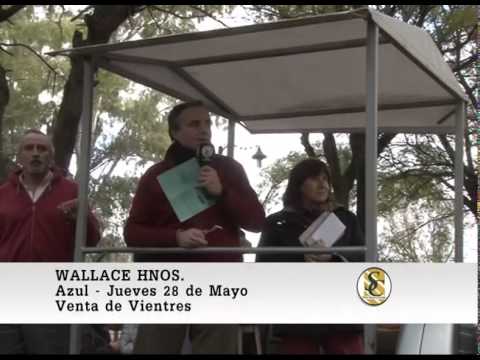 28-05-15 Venta de Vientres - Wallace Hnos S.A. - Azul