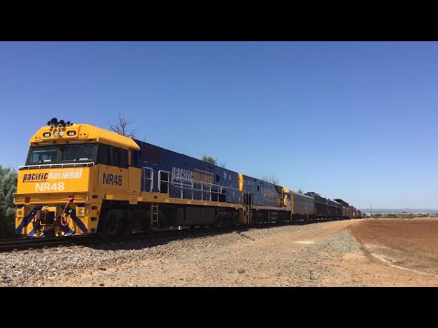 Pacific National 3MP5 NR48 NR45 pass King Road, Virginia