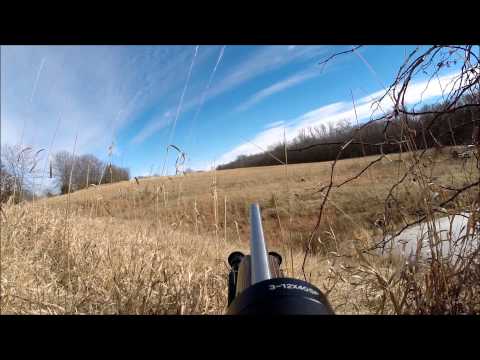 Coyote Hunting with the Primos Alpha Dogg