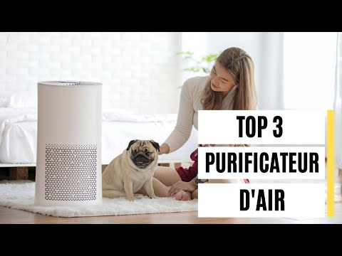 Purificateur d'air 2024 : mon top 3 après tests