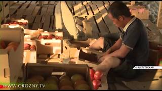 В соцсетях распространяют ложные сообщения об опасности овощей, выращиваемых в Чечне иностранцами