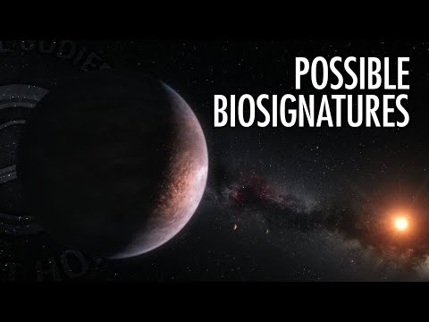 Can Life Exist Without Water? Biosignatures with Janusz Petkowski