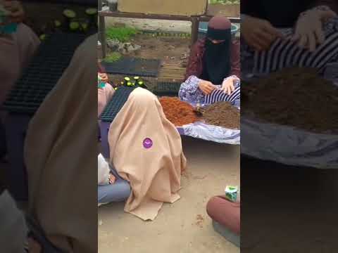 KEGIATAN INSAN DIDIK WAHDINI SENIN 01-11-2025