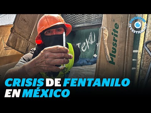 Fentanilo, heroína y cristal, la crisis de droga en la frontera más grande del mundo| Reporte Indigo