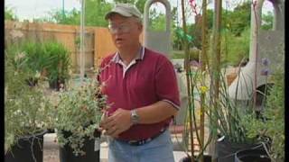 preview picture of video 'How To Choose Water Conserving Shrubs'