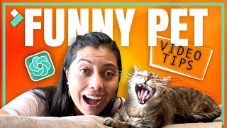 How to Create Pet Funny Videos😺💡 | Filmora Creator Tips