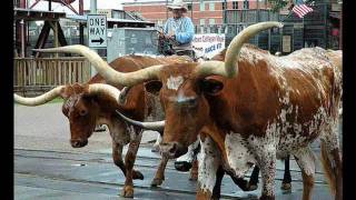 Cowtown by George Strait.wmv