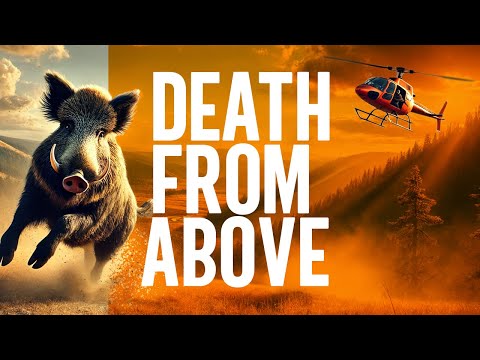 INSANE Helicopter Hog Hunt Mission in West Texas