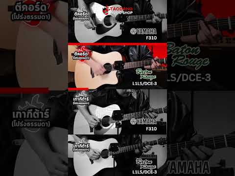 🔥เทียบเสียงกีต้าร์โปร่ง Yamaha F310 VS Baton Rouge L1LSDCE 3 ใครรอด? ใครร่วง? | เต่าแดง