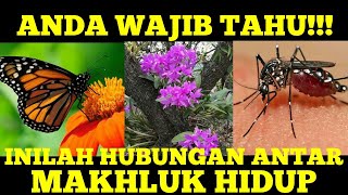 ANDA WAJIB TAHU!! PENJELASAN SIMBIOSIS (SIMBIOSIS MUTUALISME, KOMENSALISME DAN PARASITISME)
